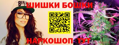 индика Моздок