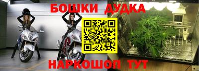индика Моздок