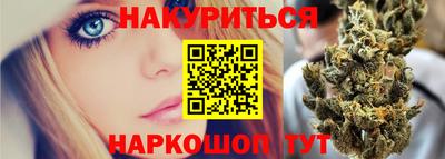 индика Моздок
