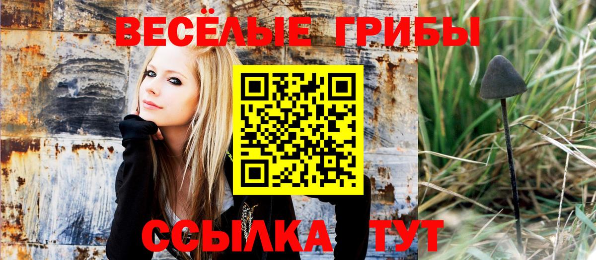 цена   Вход с VPN  Советск  Псилоцибиновые грибы прущие грибы 