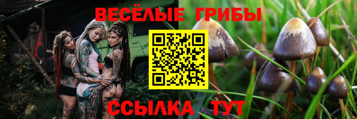 Галлюциногенные грибы GOLDEN TEACHER Советск